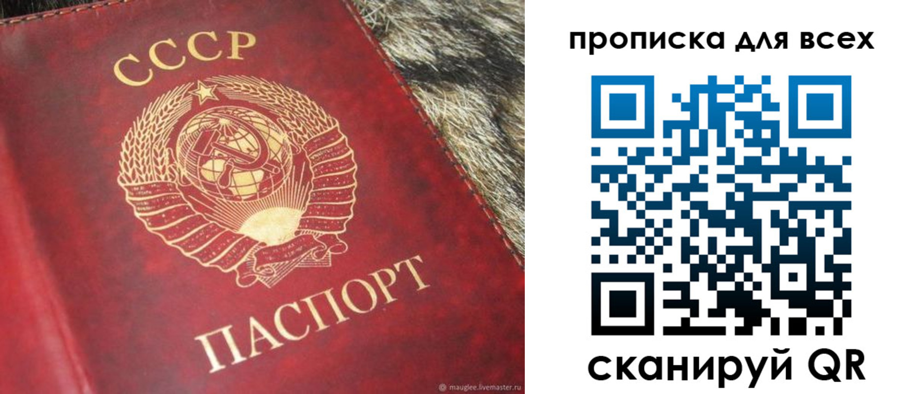 прописка ребенка в Нижнем Новгороде